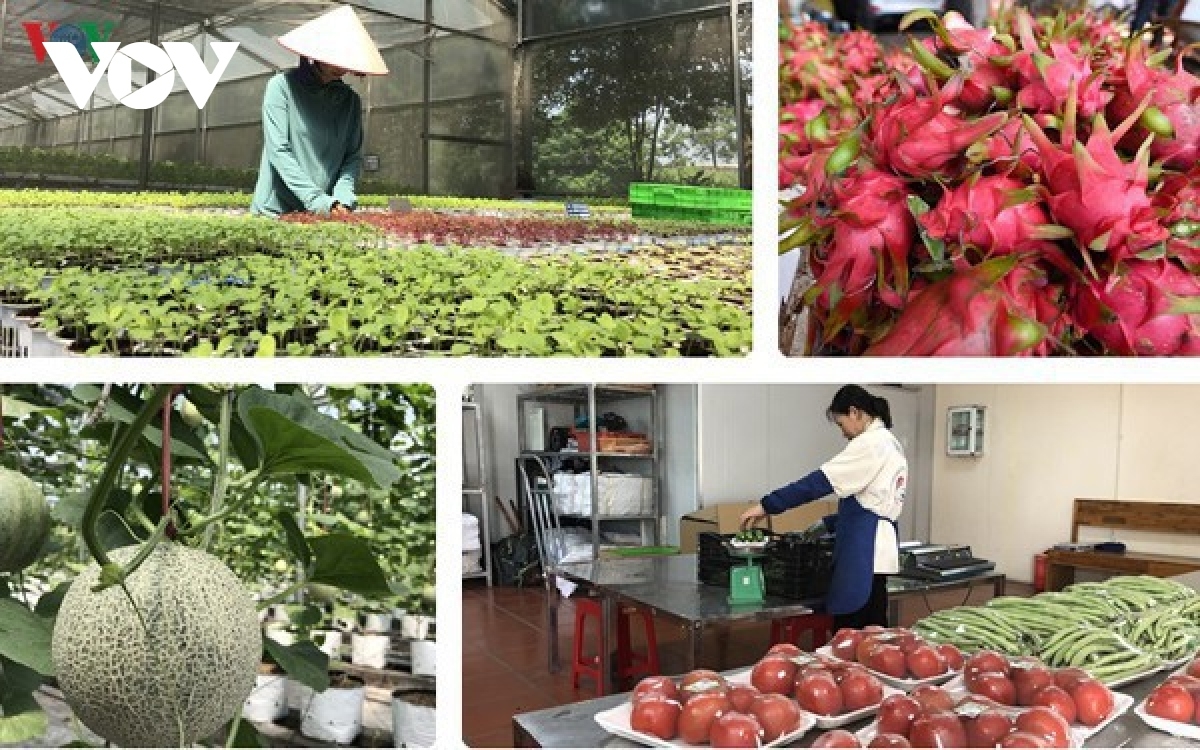India asked to open market for Vietnamese farm produce